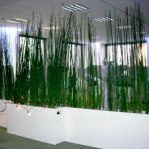 Equisetum-in-Divider-Slim.jpg